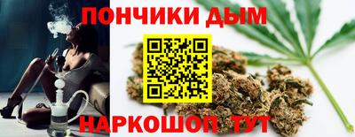 мдпв Можга