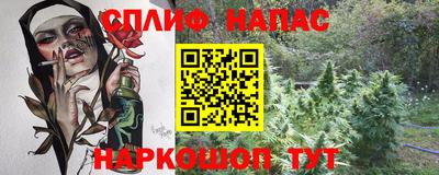 мдпв Можга